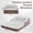 2-in-1 King inflatable Sofa, variant on Inflatable Air Sofa Bed, Convertible 2-in-1 Couch to Air Mattress with Backrest, Heavy Duty Blow Up Bed for Living Room, Backyard, Camping, Beach & Travel