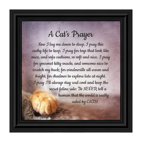 A Cat's Prayer, Pet Lover Gift, Cat or Kitten Paw Prints Picture Frame, 8 x 8, 8705
