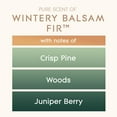 thumbnail image 2 of Glade® Large Candle, 4" x 4" Jar Candle, Wintry Balsam Fir, 2 of 9
