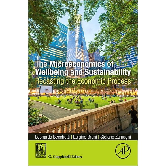 The Microeconomics of Wellbeing and Sustainability: Recasting the Economic Process, (Paperback)