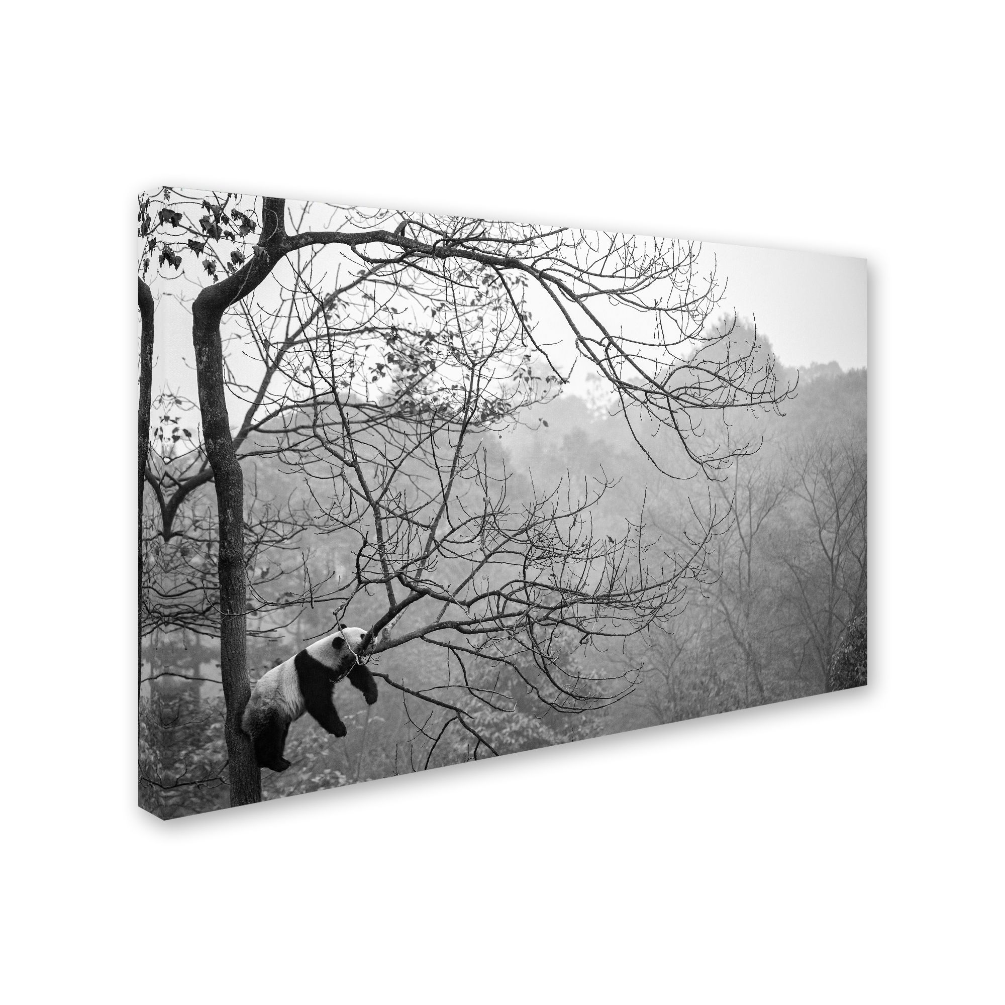 Trademark Fine Art 'Relax' Canvas Art by Alessandro Catta