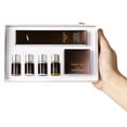 thumbnail image 4 of Fiudx Kit de Permanente de Cejas, Set de Modelado de Cejas Casero, Lifting Instantáneo de Cejas Gruesas, Definición Mejorada con Accesorios, Rutina de Belleza En Casa, Perfecto para Todo Tipo de Piel, 4 of 6