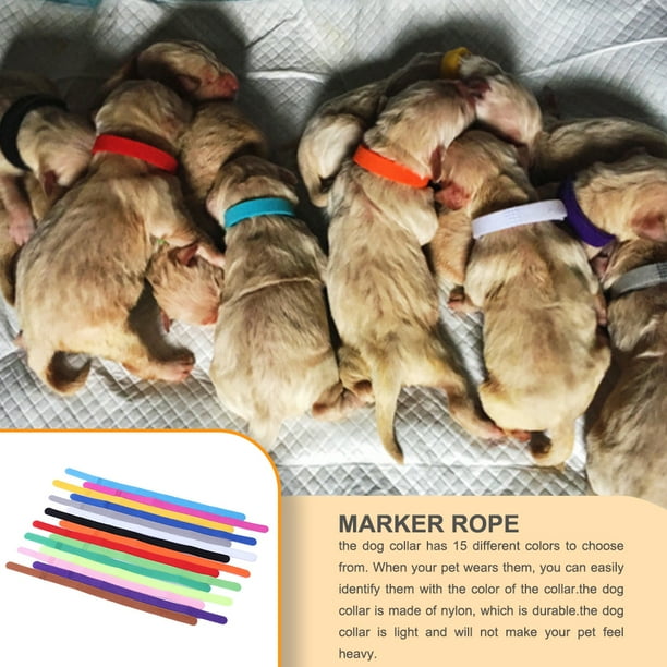 Lightweight dog collars sale