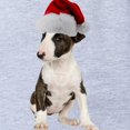 thumbnail image 2 of CafePress - Bull Terrier Santa - Cute Infant Baby Football Bodysuit, 2 of 3