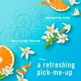 thumbnail image 4 of Febreze Air Freshener Spray, Odor-Fighting Room Spray, Refresh & Energize Scent, 4 of 11