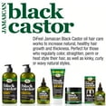 thumbnail image 3 of Difeel - Jamaican Black Castor Premium Hair Oil Superior Growth, 3 of 8