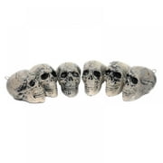 6Pcs Halloween Skeleton Skull Heads Realistic Human Skeleton Skulls for Horror Haunted House Party Halloween Decoration Prop