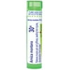 Boiron Arnica Montana 30X, Homeopathic Medicine for Muscle Pain, Stiffness, Swelling From Injuries, Bruises, 80 Pellets