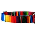 thumbnail image 5 of Country Brook Petz® Serape Reflective Martingale Dog Collar, Medium, 5 of 5