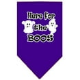 thumbnail image 6 of Halloween Pet and Dog Bandana Screen Printed, "Here For The Boos", 6 of 10
