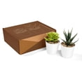 thumbnail image 1 of Paquete con 15 piezas de Mini macetas decorativas,, 1 of 8