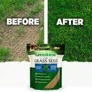 GreenView Pure Grass Seed Kentucky Bluegrass Blend, 3 lb. Bag – Covers up to 3,000 sq. ft.