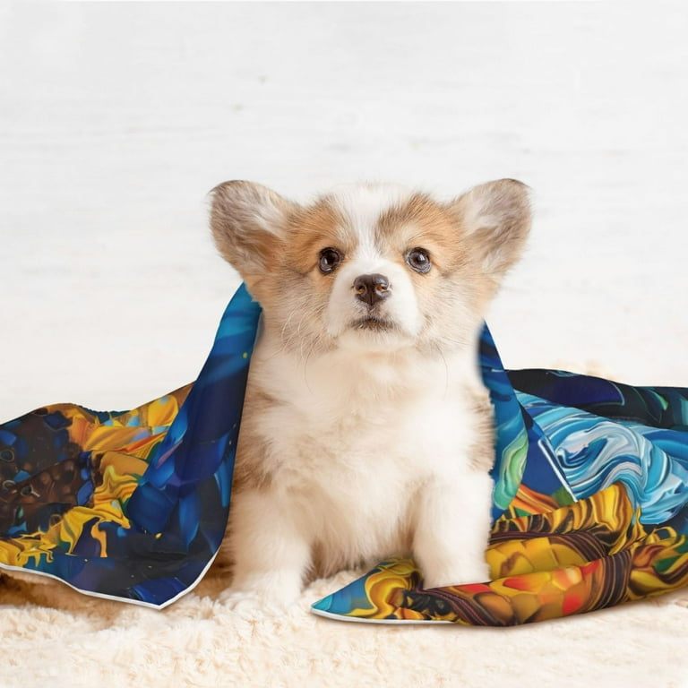 Does puppy need blanket at tradional night