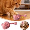 thumbnail image 1 of BotaniNest Interactive Moving Cat Automated Cat With Realistic Squeaky Sound For Bored Indoor Cats Self Play & Exercise, 1 of 6