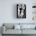 thumbnail image 2 of Trademark Fine Art Wille Roos Hanging In There Canvas Wall Art, 2 of 4
