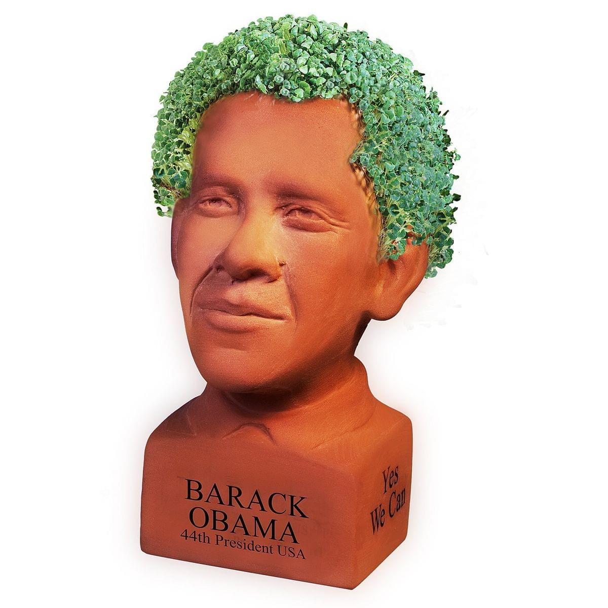 Chia Pet Barack Obama Special Edition Political Junkie Decorative Pottery Planter