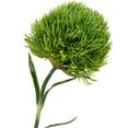 thumbnail image 4 of 4Pcs Fake Dianthus Artificial Greenery Stem Realistic Green Tricks for Home Kitchen Wedding Courtyard Decoration (Dark Green), 4 of 5