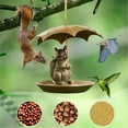 thumbnail image 4 of Animal Bird Feeder with Umbrella,Squirrel/Cat/Dog Holding Umbrella Bird Feeder for Outdoors Hanging,Metal Hummingbird Feeders for Garden Yard Decor, for Birds Lovers Men Women Gifts, 4 of 6