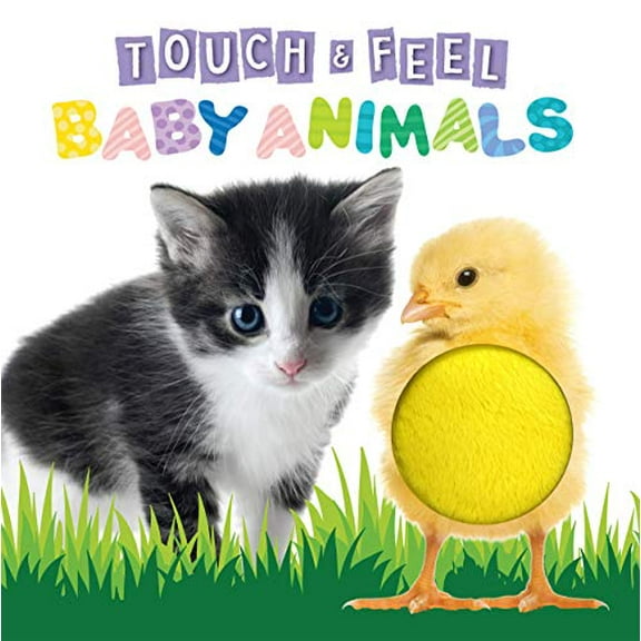 Pre-Owned Baby Animals : Touch and Feel 9781952137631