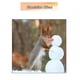 thumbnail image 4 of Paquete de 160 Variedad de Zanahoria Artificial de Juguete de Plástico BLESIY Mini de Snowman Ornamento de DIY Decoración Nariz de seguridad para muñecos de animales, 4 of 7