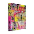 thumbnail image 2 of Trademark Fine Art 'Pink Paint Graffiti' Canvas Art by David Drioton, 2 of 3
