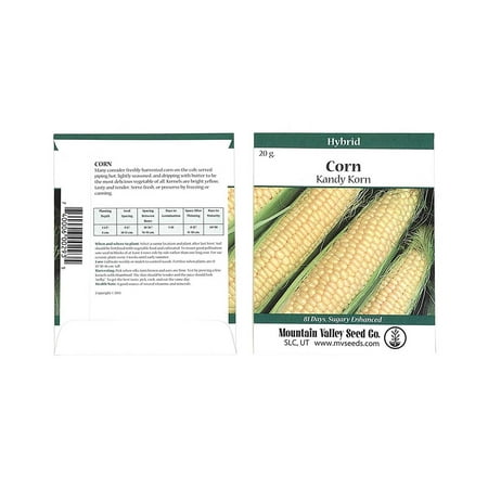 Kandy Korn Hybrid Corn Garden Seeds - 20 Gram Packet - Non-GMO Vegetable Gardening Seeds - Yellow Sweet (SE) Corn Seed, Corn Seeds (se) .., By Mountain Valley Seed Company Ship from