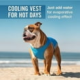 thumbnail image 2 of Canada Pooch Chill Seeker Adjustable and Breathable Dog Cooling Vest, 2 of 5