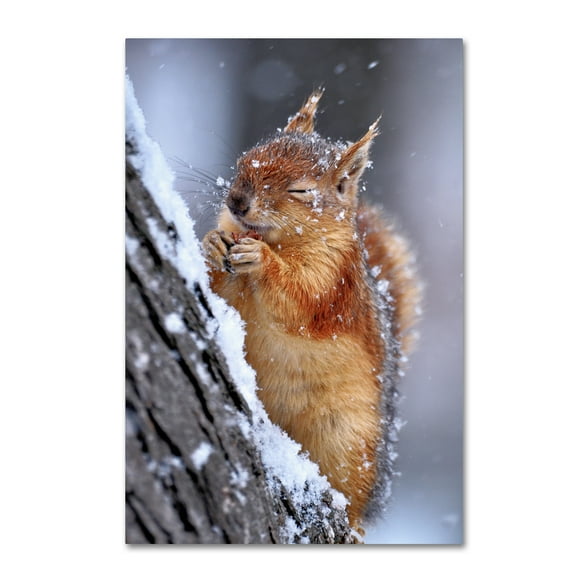 Trademark Fine Art 'Winter' Canvas Art by Ervin Kobakci