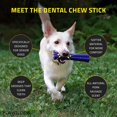 thumbnail image 2 of Barra masticable dental Playology Silver de Dog Toy para perros mayores, 2 of 7