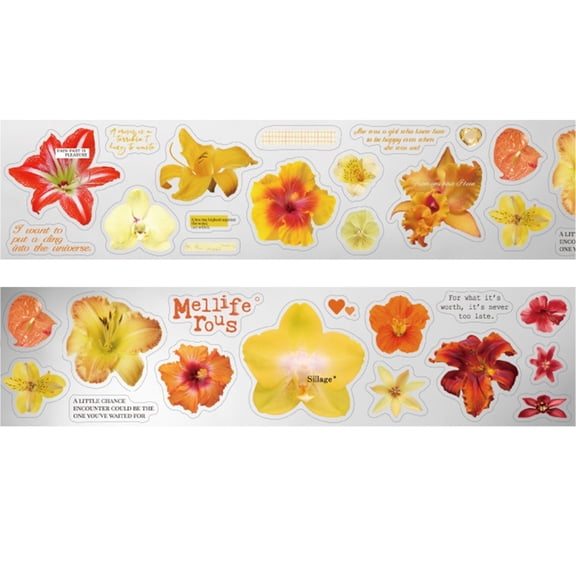 Wide PET Tape, Wide PET Tape Decorative Reusable PET Craft Tape Decorative Art Tape for Journaling and Scrapbooking