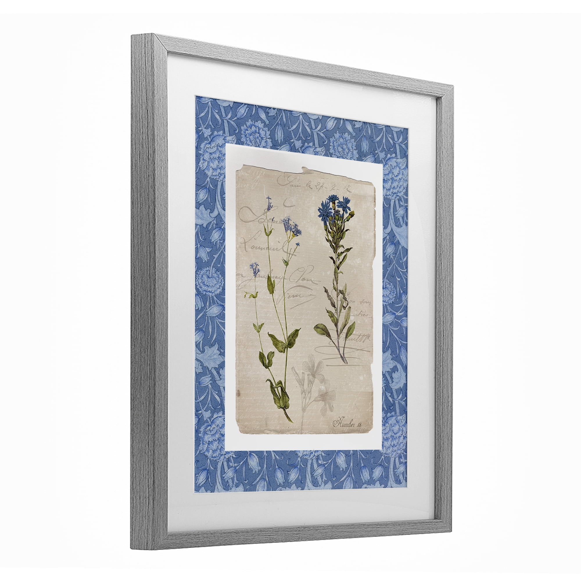 Stupell Industries Blue Vintage Botanicals Gray Framed Print Under Glass, design by Livi Finn