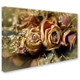 thumbnail image 2 of Trademark Fine Art "Painted Old Roses" Canvas Art by Lois Bryan, 2 of 3