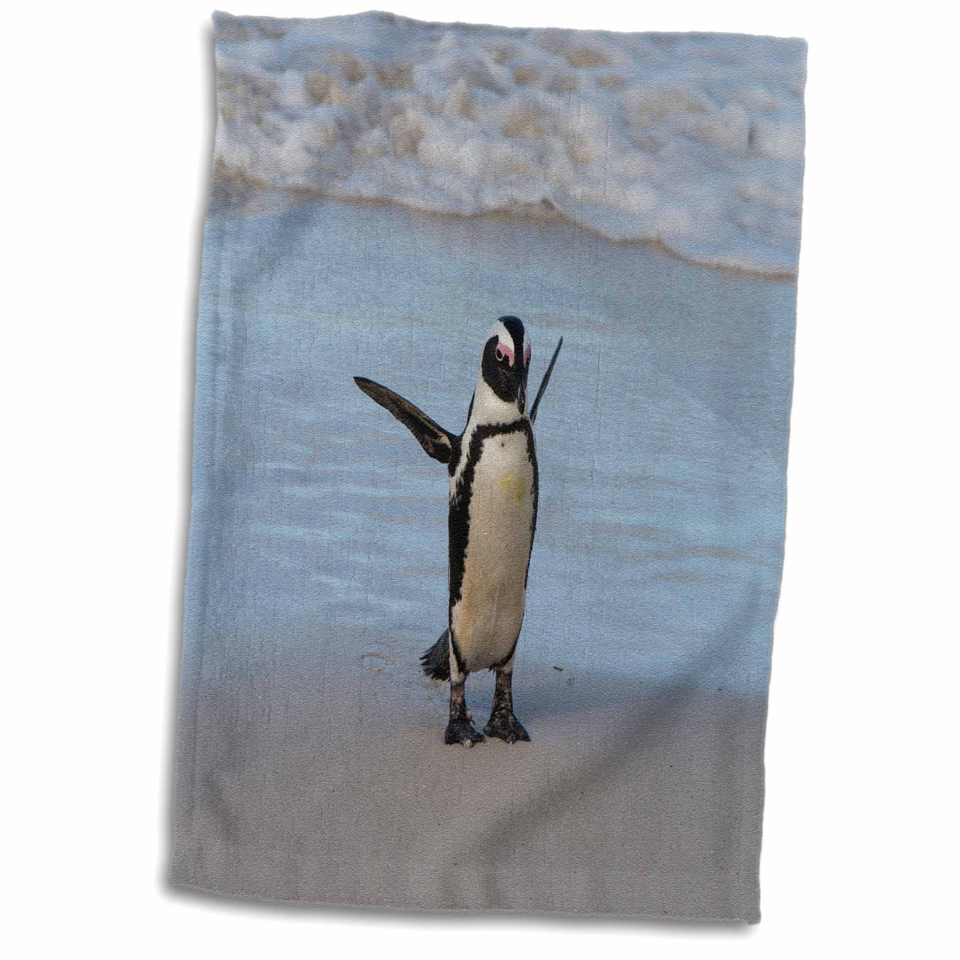 3dRose South Africa, Cape Town, Boulders Beach, Penguin. - Towel, 15 by 22-inch
