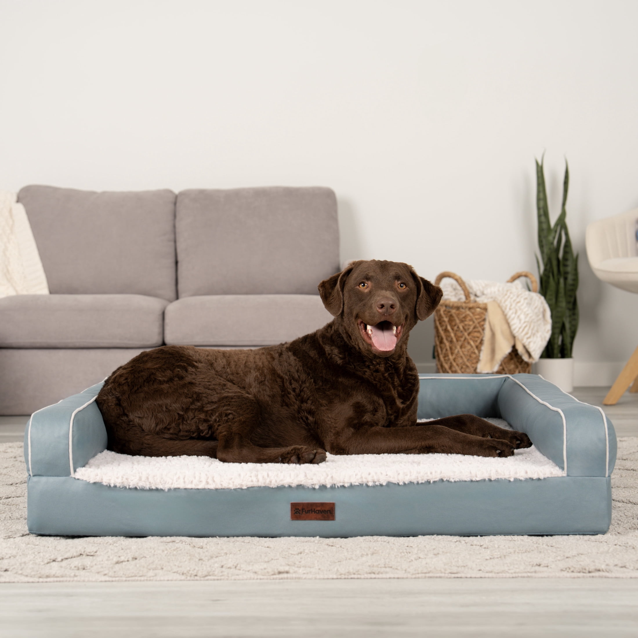 FurHaven Jumbo (32"x40") Orthopedic Dog Bed – Textured Plush & Coated Poly Modern Sofa Pet Bed, CertiPUR-US Foam, Removable Washable Cover, Riverway