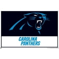 thumbnail image 4 of NFL Carolina Panthers - Logo 21 Wall Poster with Push Pins, 22.375" x 34", 4 of 6