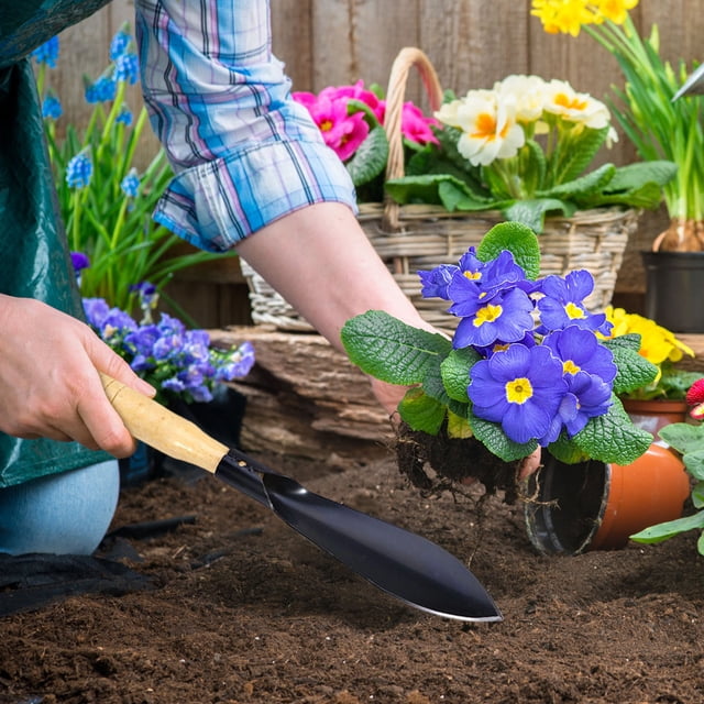 Jardin Extérieur Spade avec Manche en Bois, Outil de Creusage Pointu en Acier Robuste, Tête Carrée pour Cour, Patio et Jardinage, Résistant à la Rouille