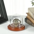 thumbnail image 3 of Plymor 3" x 3" Glass Display Dome Cloche (Walnut Base), 3 of 4