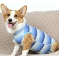 thumbnail image 2 of CHBORLESS Dog Postoperative Recovery Clothing Stripes Dog Anti-licking Weaning Protective Clothes, 2 of 7