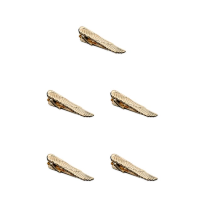 Qarigey Moda con personalidad en el mejor Clip de corbata de ala para hombres, regalos duraderos y saludables, Clips de corbata de ala Type2 NO2