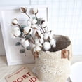 thumbnail image 4 of Cotton Stems Farmhouse Style Display Filler - Floral Decoration, 4 of 8