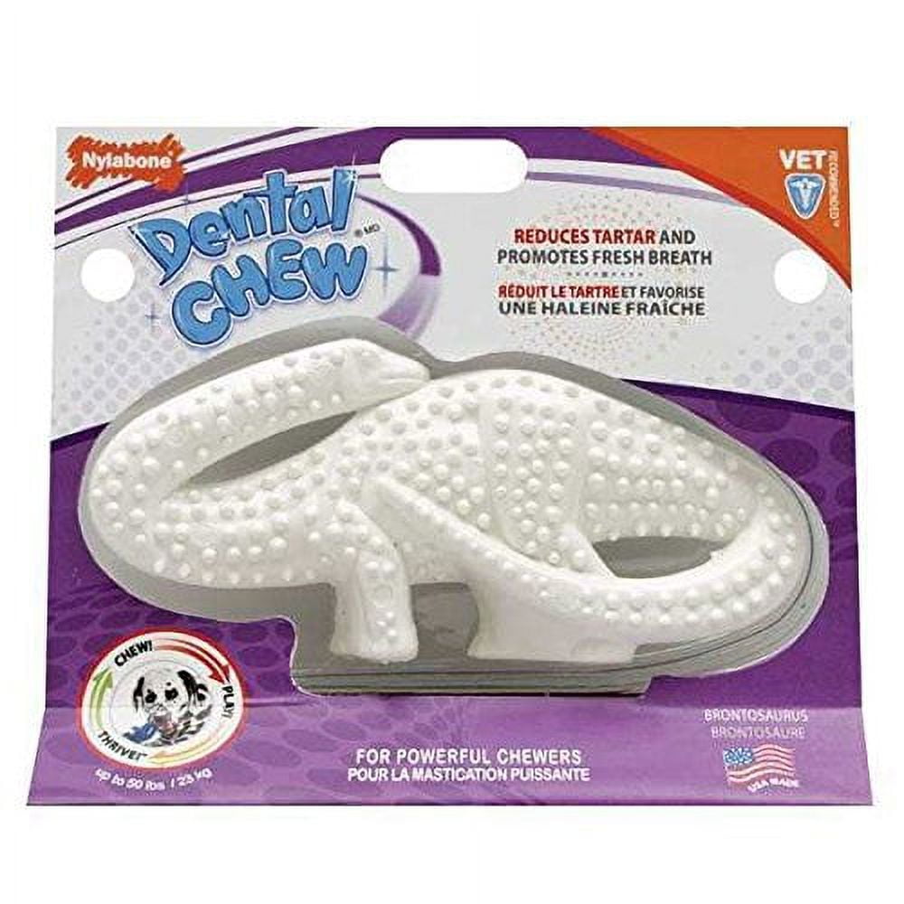 Nylabone durable dental dinosaur hotsell