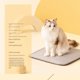 thumbnail image 5 of Puntoco Cama lavable para gatos, saco de dormir cálido para mascotas, cama multifuncional para mascotas con capucha, cueva aislada para gatos, cama liviana para mascotas, cama moderna, cueva para, 5 of 5