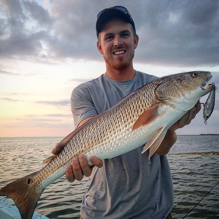 Yo-Zuri, Hard Bait, 3 1/2 inch 3D Inshore Twitchbait, Mullet Color
