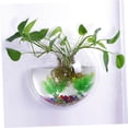 thumbnail image 4 of TEHAUX 16.5 Inch Wall Hanging Fish Aquarium Acrylic Fish Tank Wall Decor Space-Saving Design Random Plant Color, 4 of 8