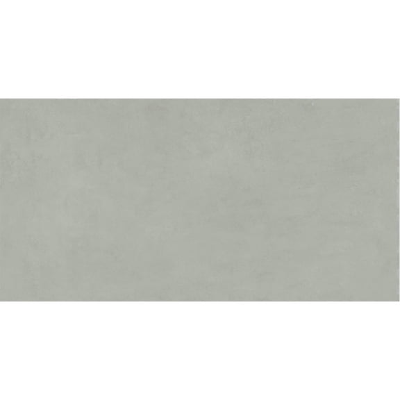 The Tile Life Foundry Concrete 24" x 48" Salvia Matte Porcelain Floor and Wall Tile Case of 2