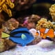 thumbnail image 1 of Acuario Artificial Luminous Fish Silicone Glowing Fish Tank Decor (Azul) Ndcxsfigh Para estrenar, 1 of 8