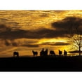 thumbnail image 3 of Aledanda 14x12 Black Modern Framed Museum Art Print Titled - Horses at Sunset, 3 of 5