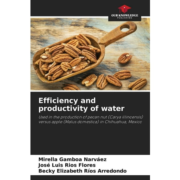 Efficiency and productivity of water, (Paperback)