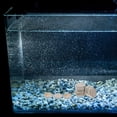 thumbnail image 4 of BESTYASH 10Set Landscaping Rocks Natural Multi Realistic For Reptile Climbing Decor, 4 of 6