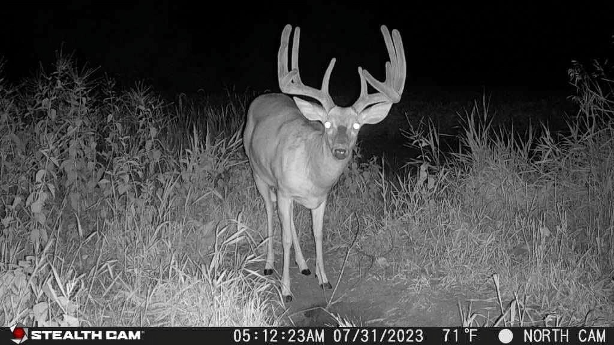 Stealth Cam Fusion X-Pro Cellular Trail Camera with 36MP High Resolution Imaging